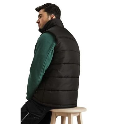 Heren standout altoona geïsoleerd bodywarmer jasje (zwart)