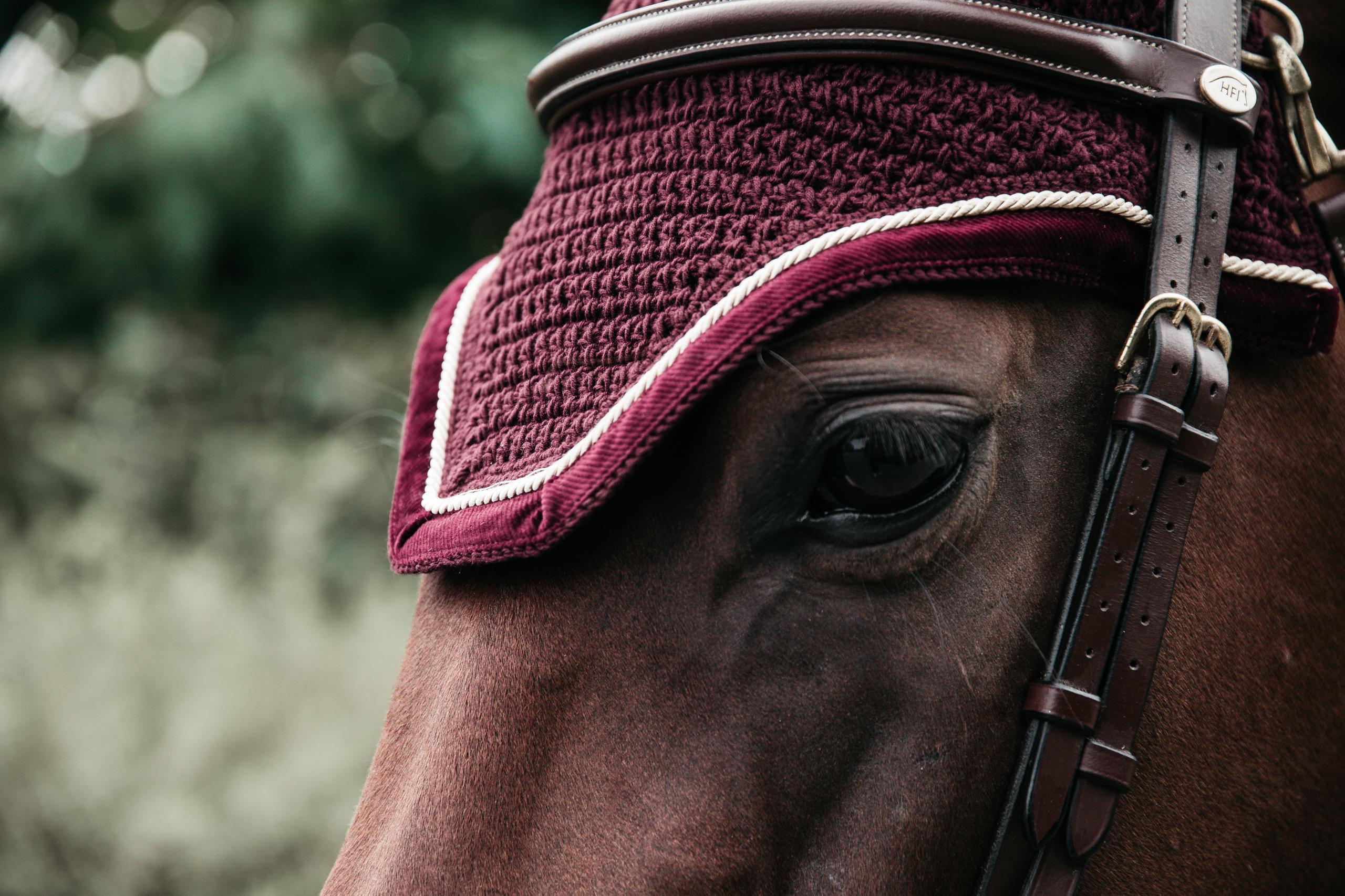 Bonnet Wellington Corduroy - Kentucky 3/3