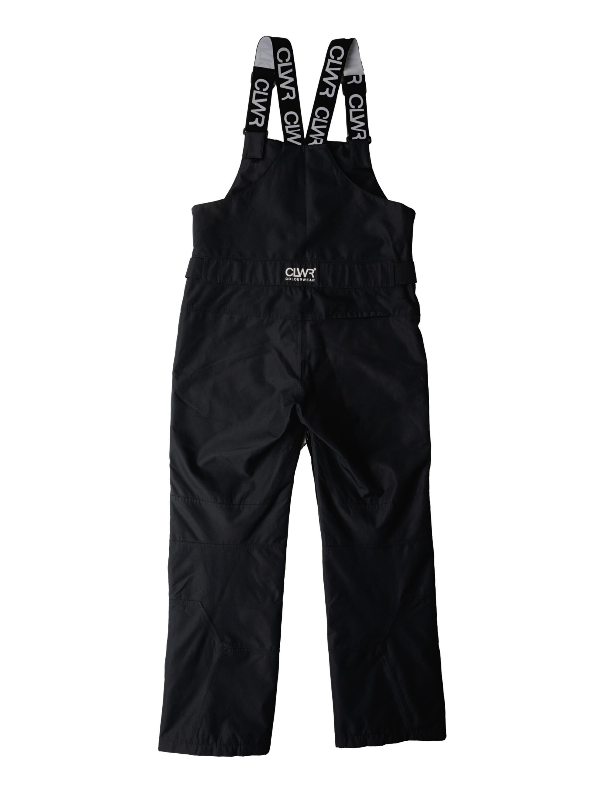 Spodnie narciarskie męskie Colourwear Slash Bib 2/5