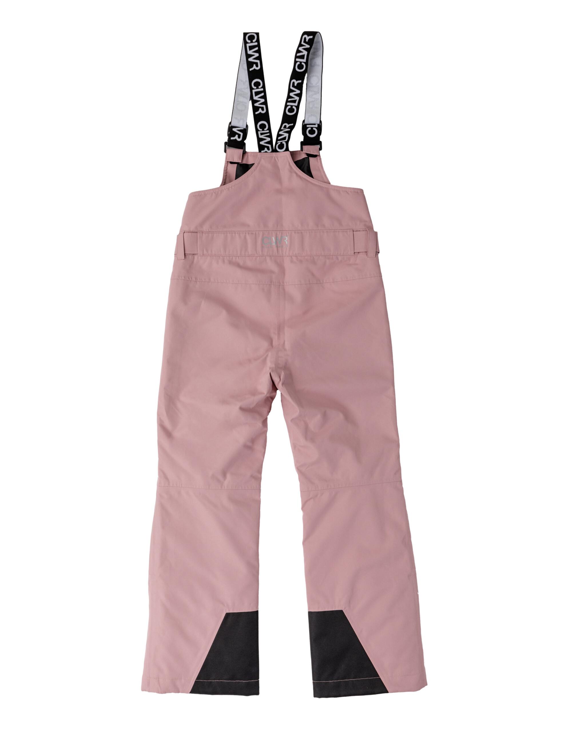 Spodnie narciarskie dziecięce Colourwear Slash Bib 2/4