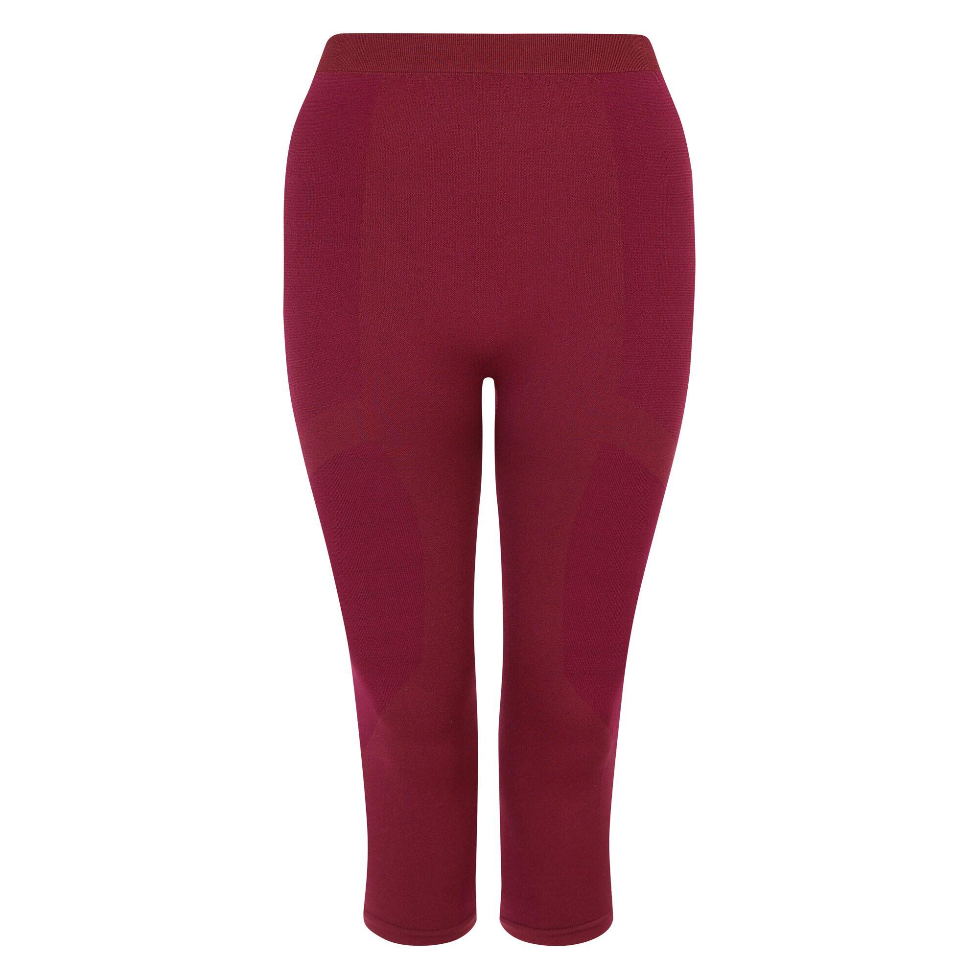 DARE 2B Womens/Ladies In The Zone II Panel 3/4 Leggings (Fig)
