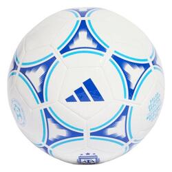 Ballon de Football Adidas de l'Argentine