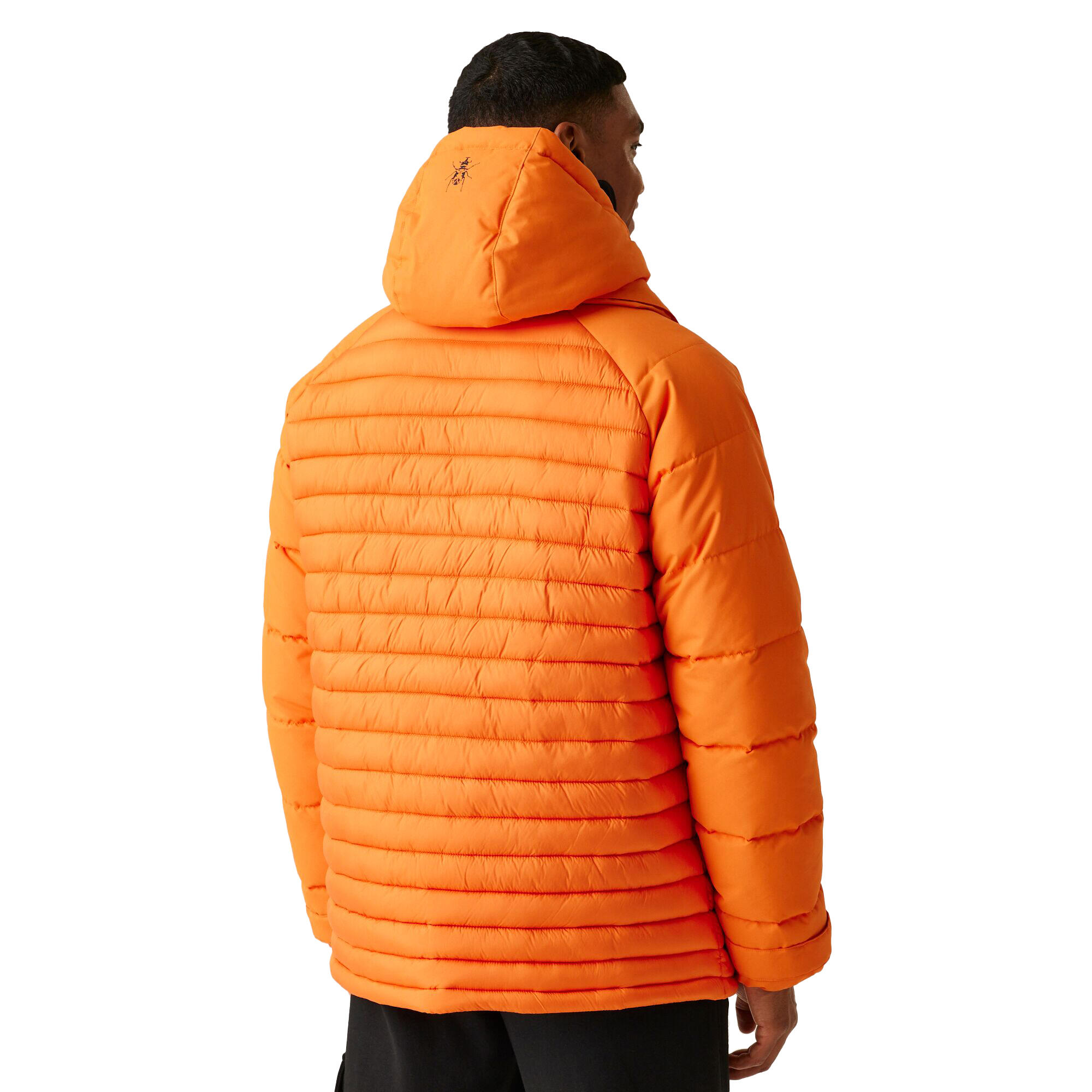 Giacca Imbottita Corto Uomo Regatta Christian Lacroix Congenies Carota 3/5
