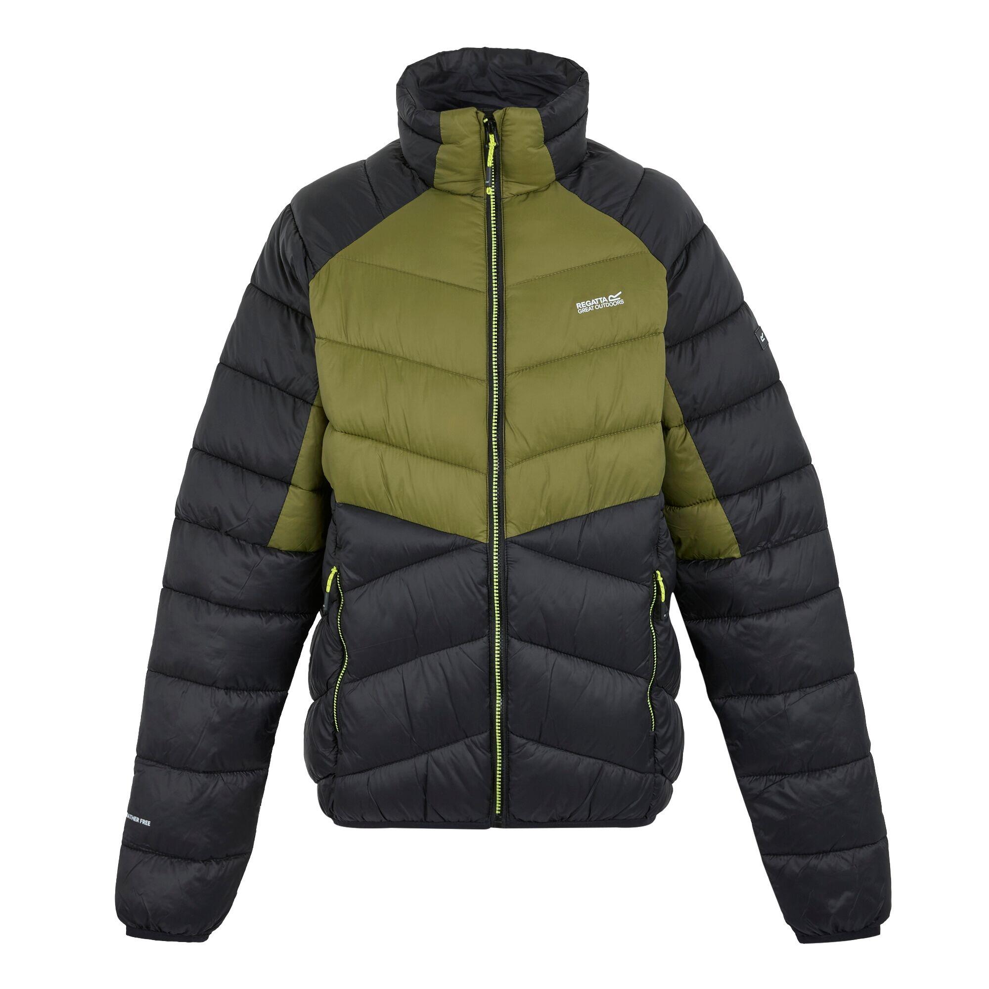 REGATTA Mens Dalent Padded Jacket (Nephrite Green/Black)