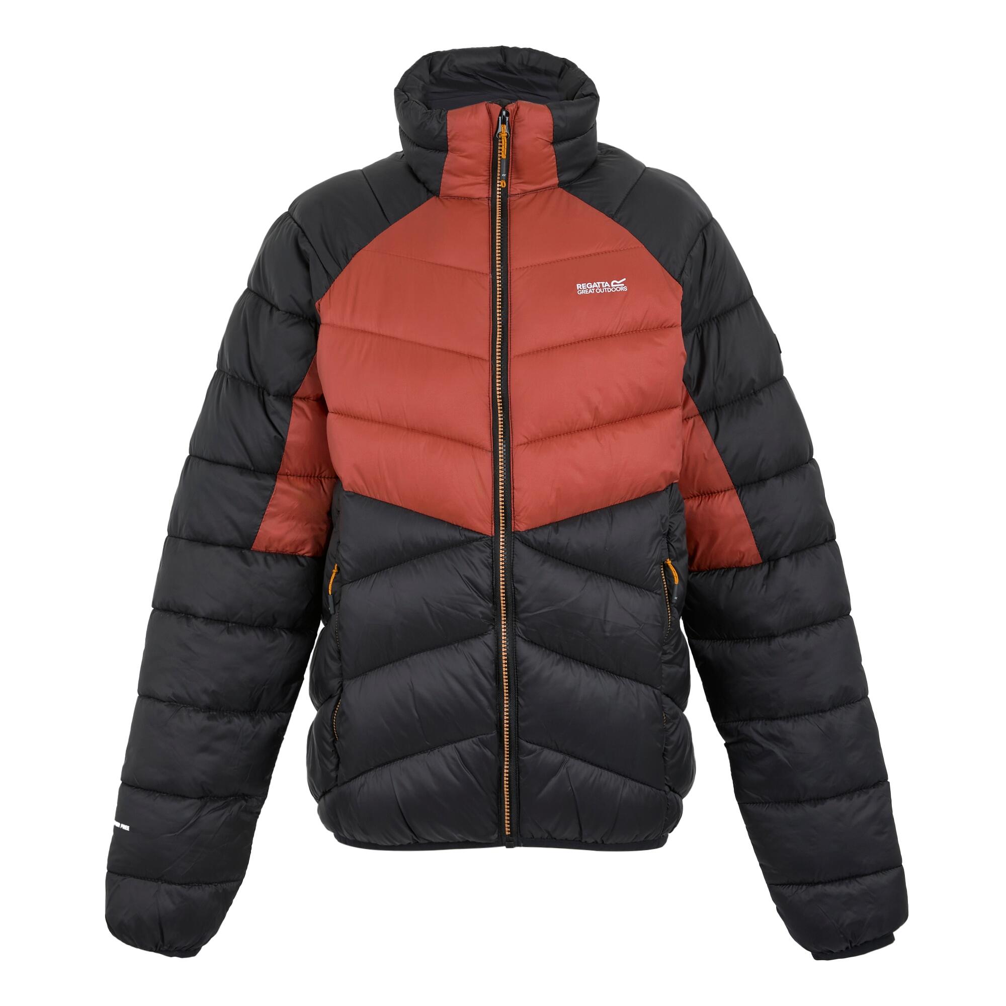 REGATTA Mens Dalent Padded Jacket (Red Ochre/Black)