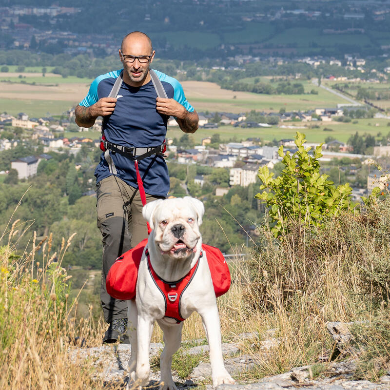 Ceinture multiusage VENTOUX rouge, randonnée, trek  gamme UPKA