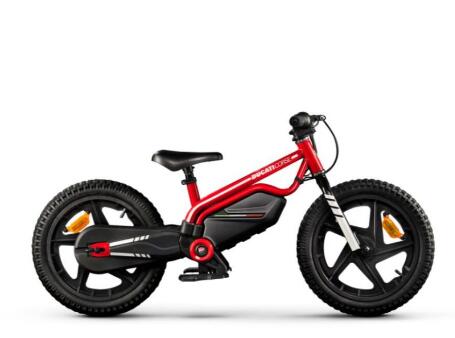 DUCATI Ducati E-Moto Kids