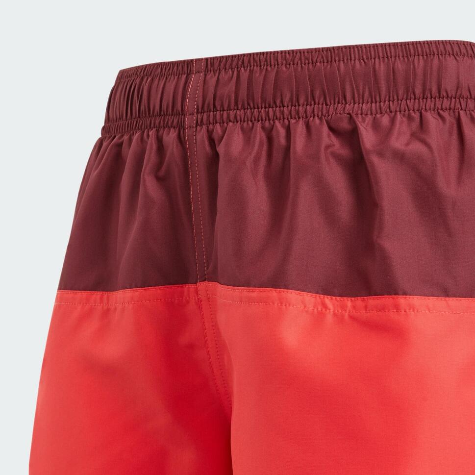 Szorty Colorblock Swim Shorts 4.5-Inch Kids