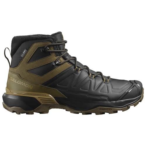 SALOMON picture