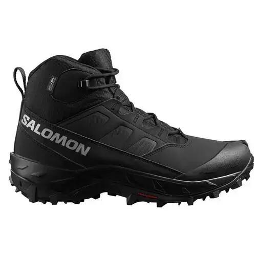 SALOMON picture
