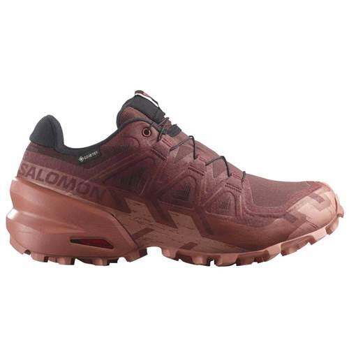 SALOMON picture