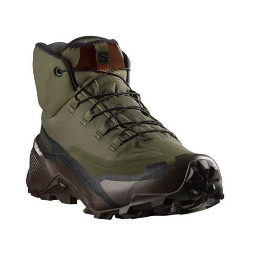 SALOMON picture