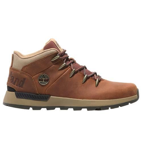 TIMBERLAND picture