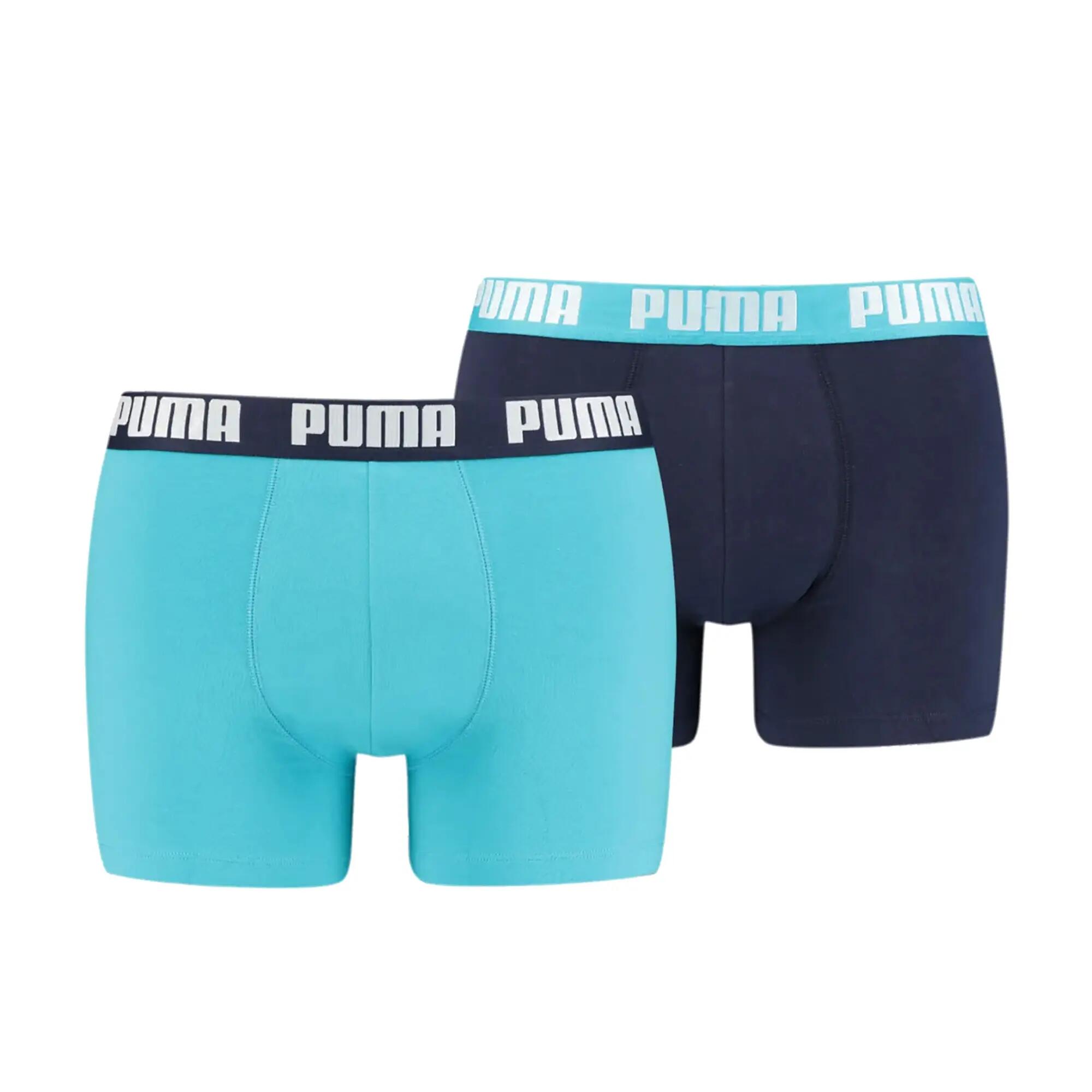 PUMA picture