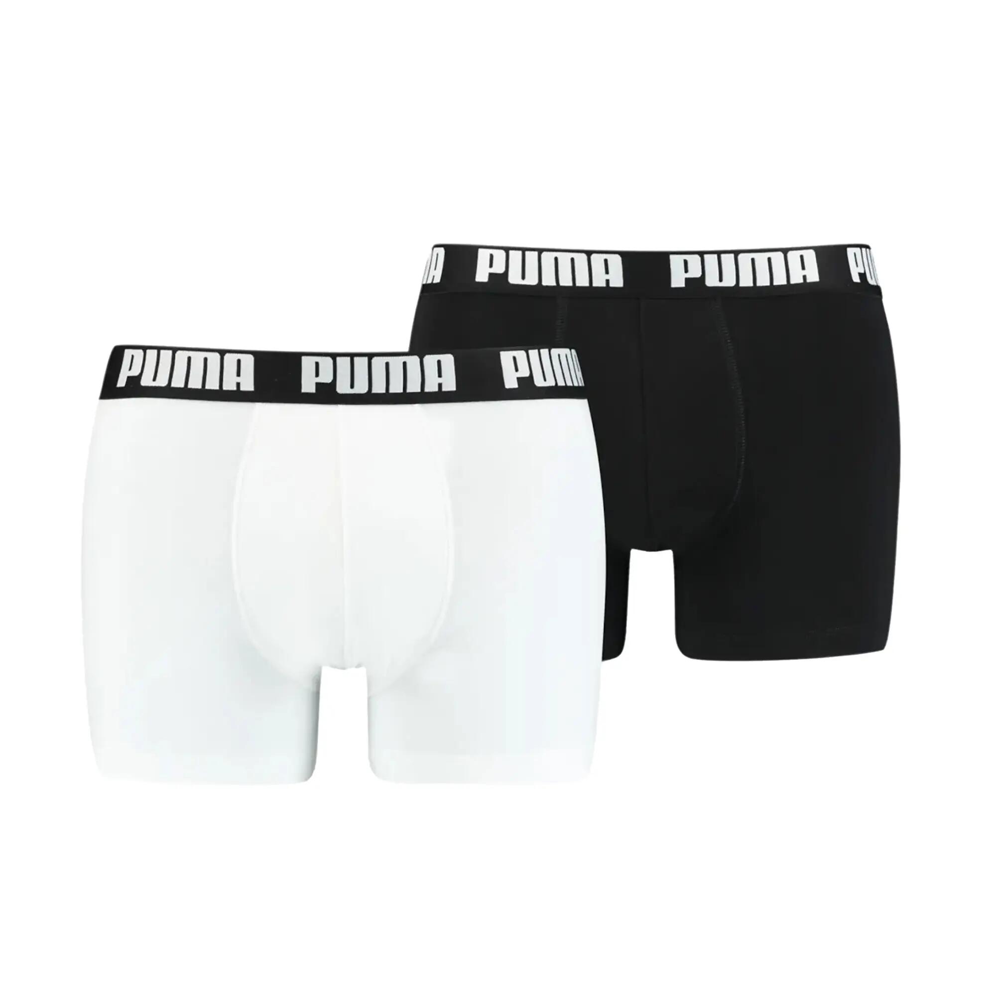 PUMA picture