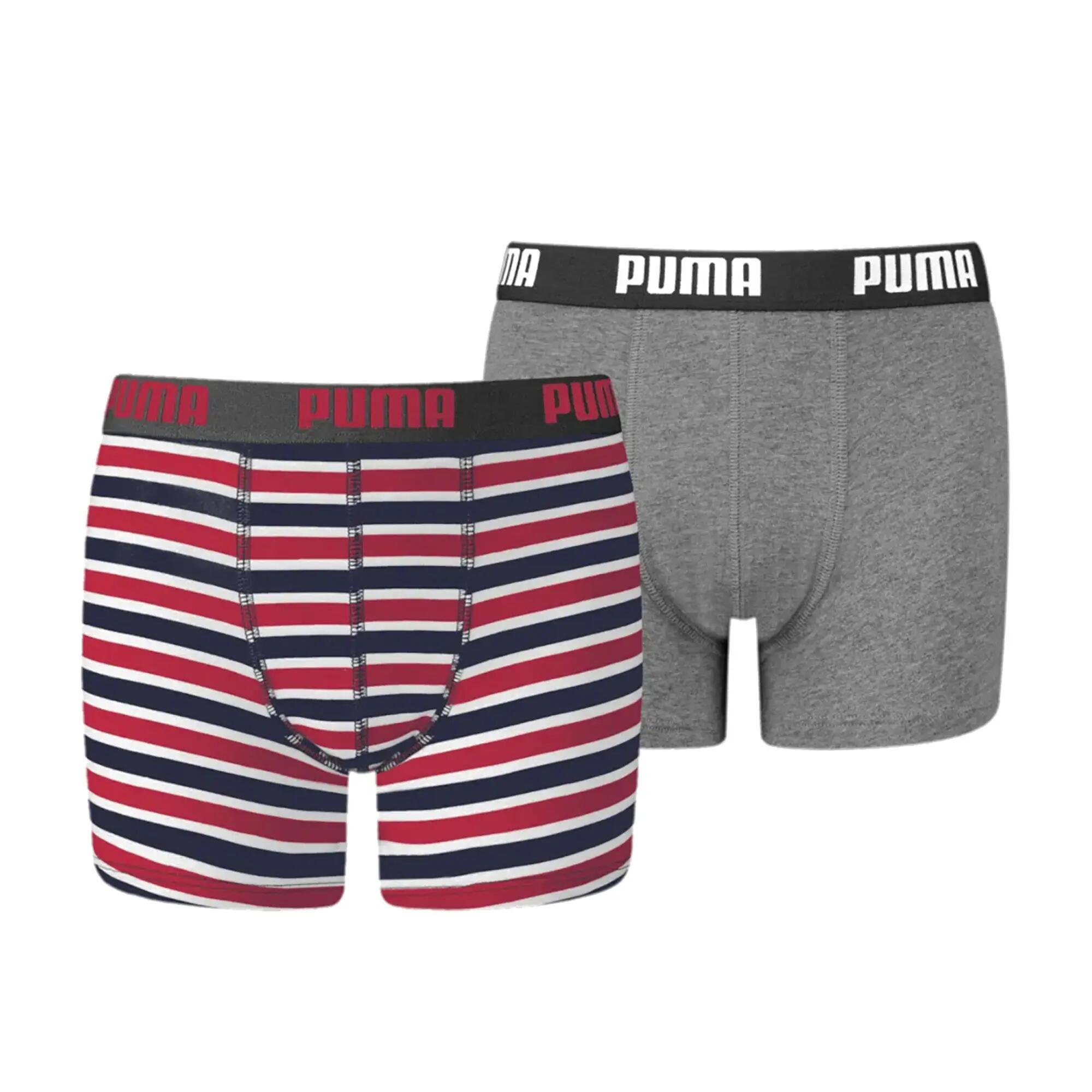 PUMA picture