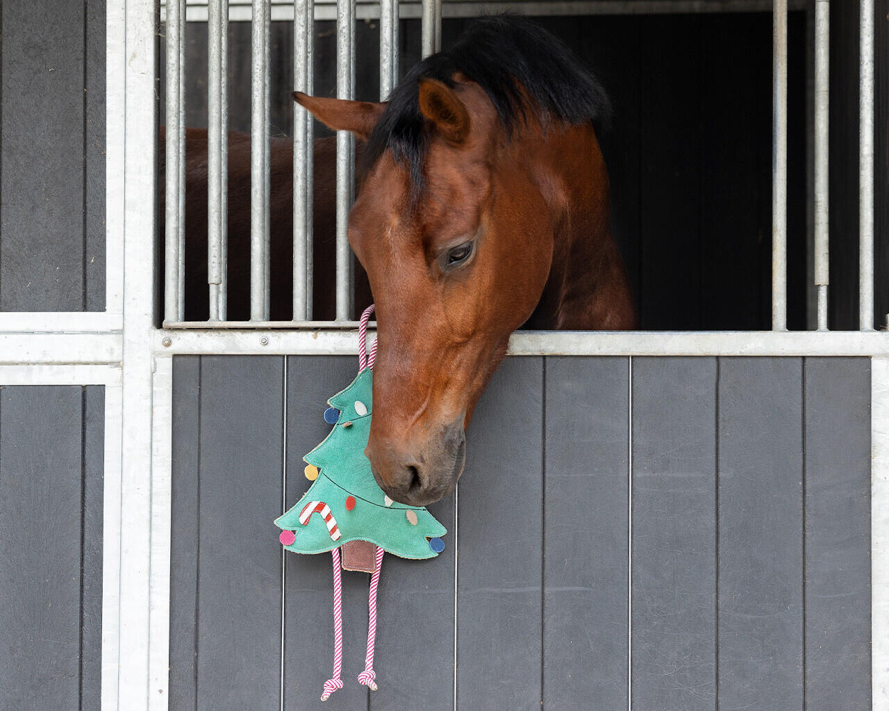 QHP Paardenspeelgoed Kerst 3/3