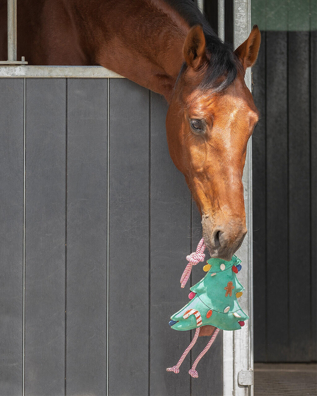 QHP Paardenspeelgoed Kerst 2/3