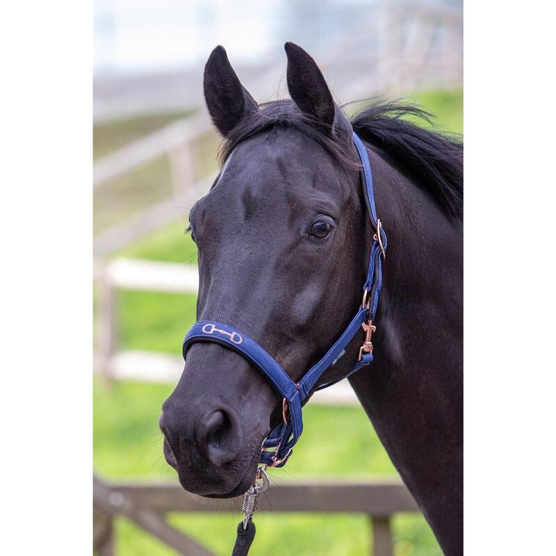 Harry's Horse Halster Bit - Navy