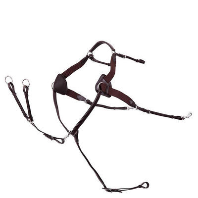 Jagdhalsband für Pferde Premiere