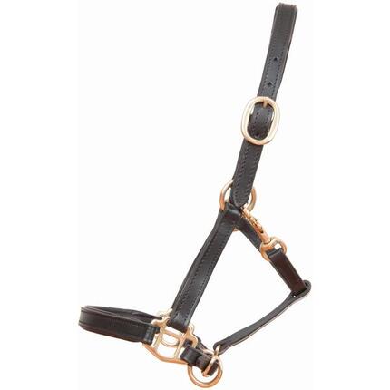 Licol pour cheval en cuir foal ou mini T de T