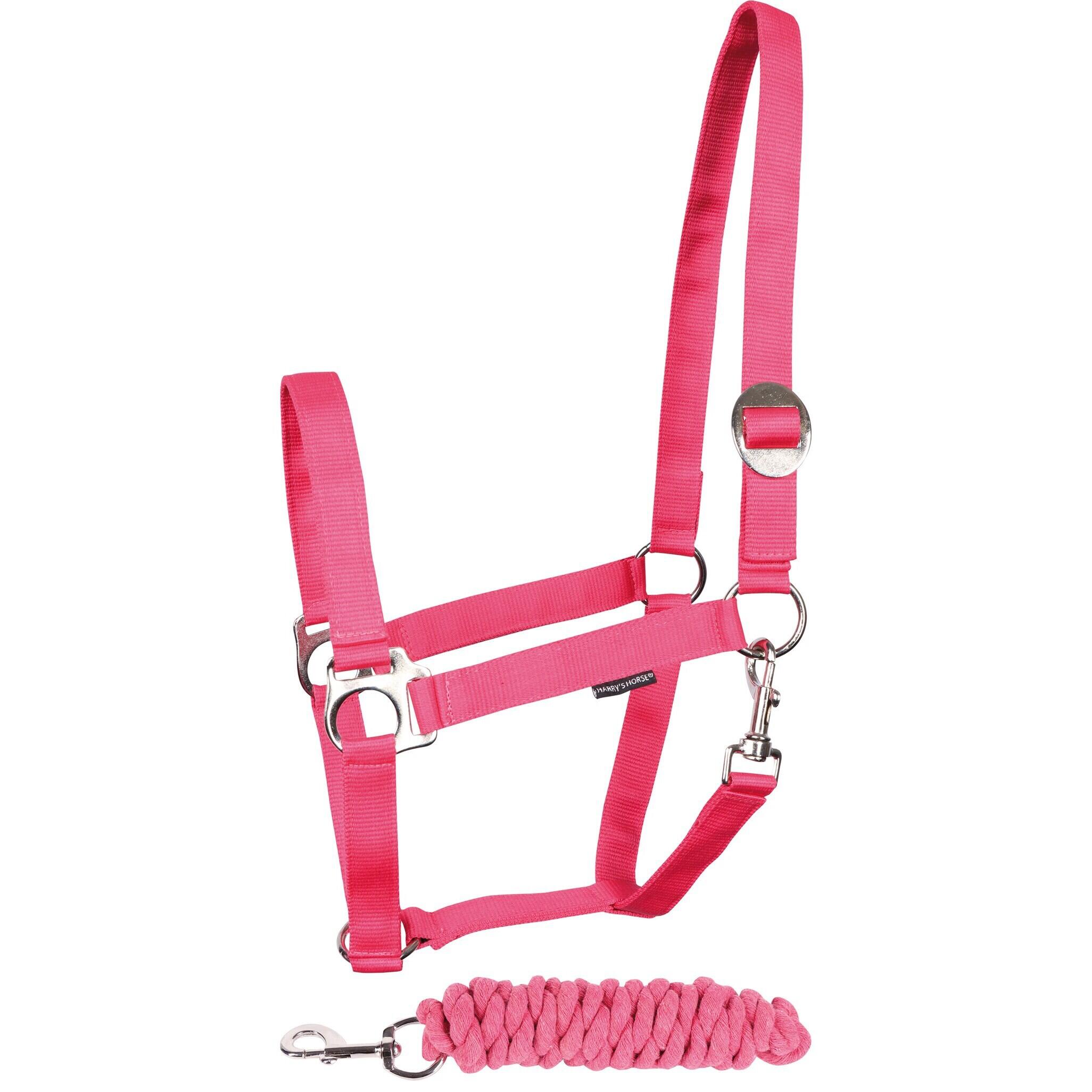 pink / fuchsia-pink