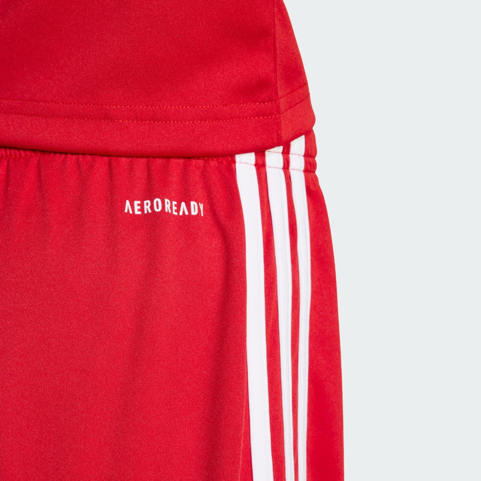 Short Squadra 25 Junior 7/7