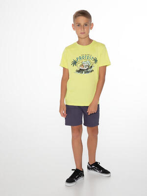 Kinder-t-shirt protest wollef