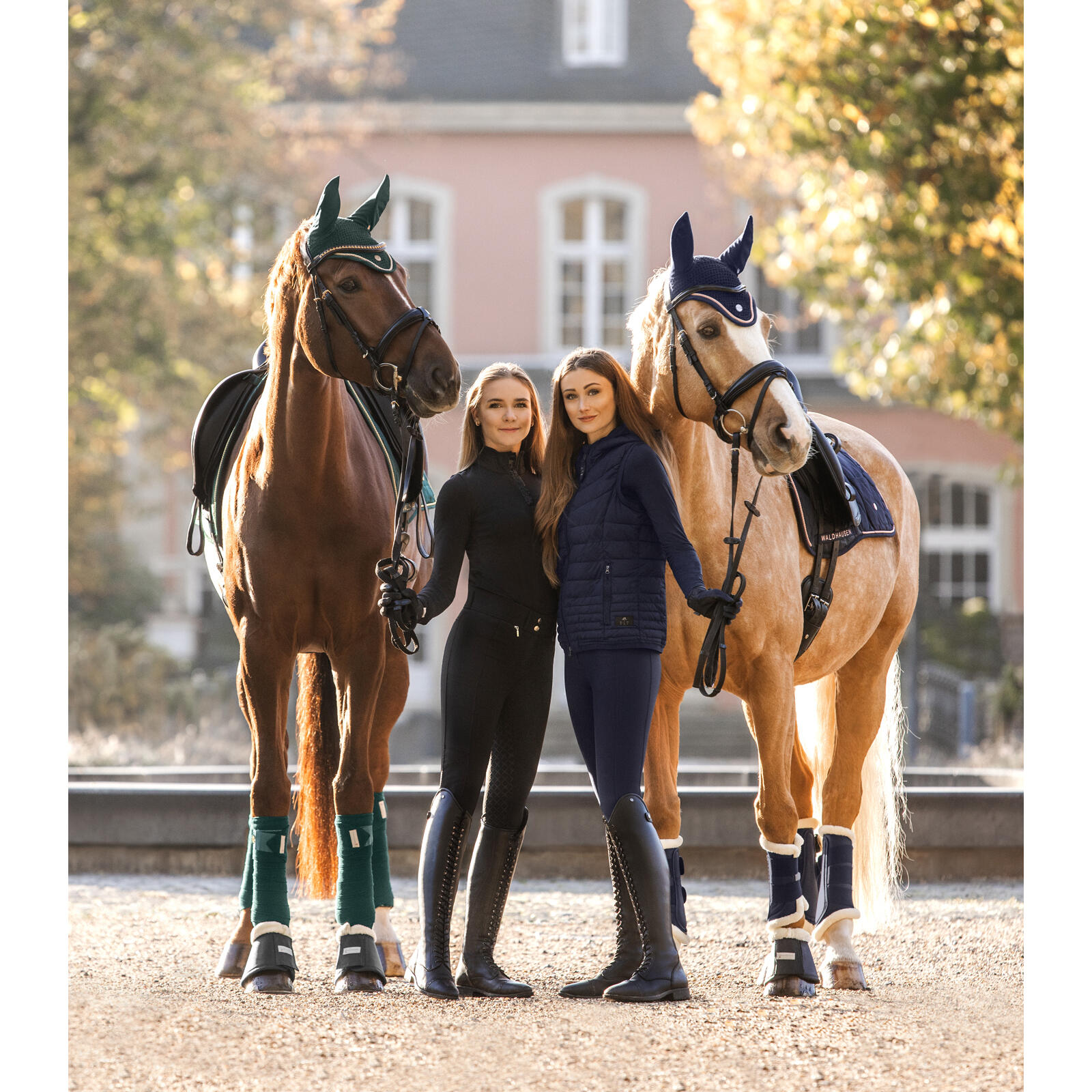 Bonnet pour cheval court Waldhausen Modern Rosé 2/3