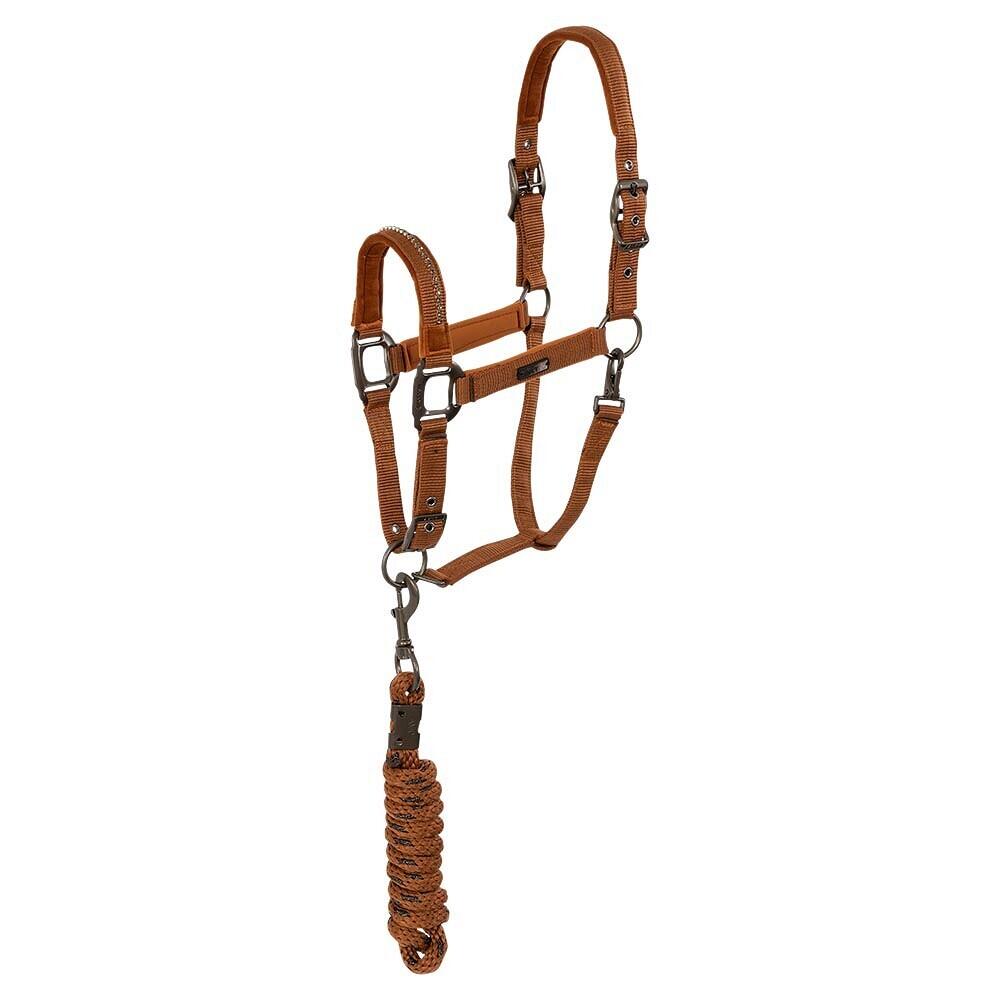 Leather halter and lead ANKY Stones