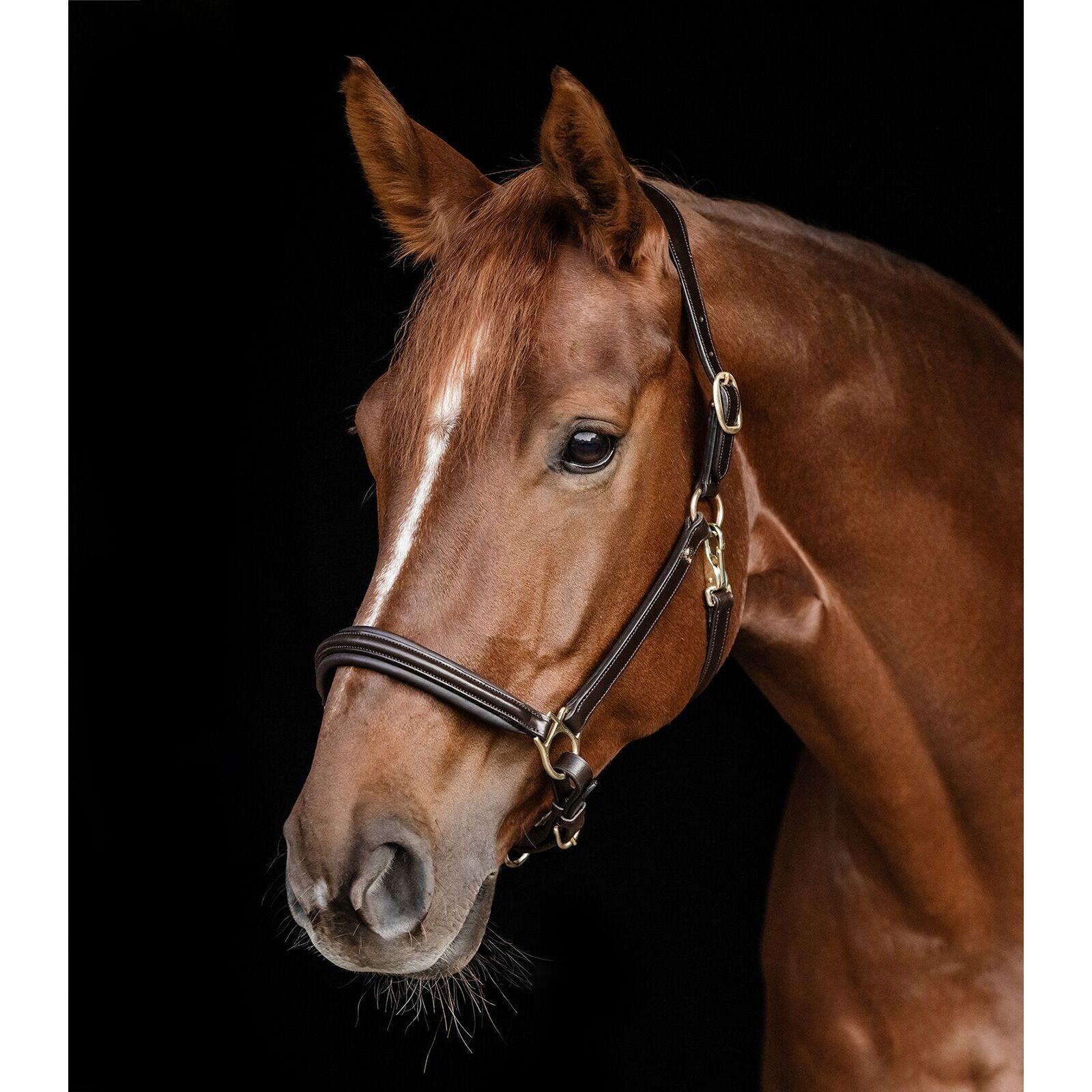 Halster voor paarden Waldhausen S-Line 3/3