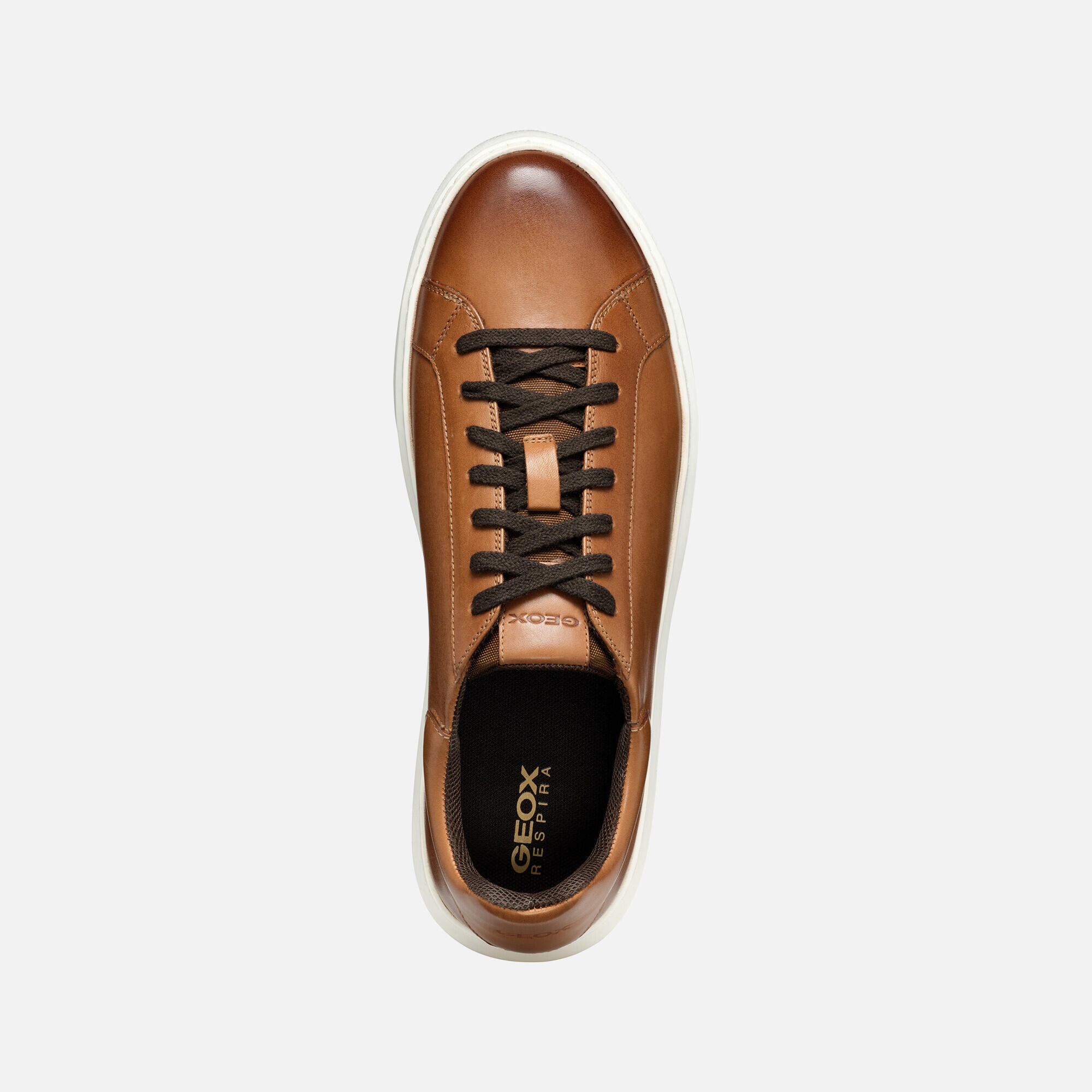 Trainers Geox Deiven 5/6