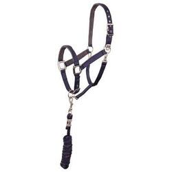 Licol pour cheval et laisse en cuir nylon ANKY