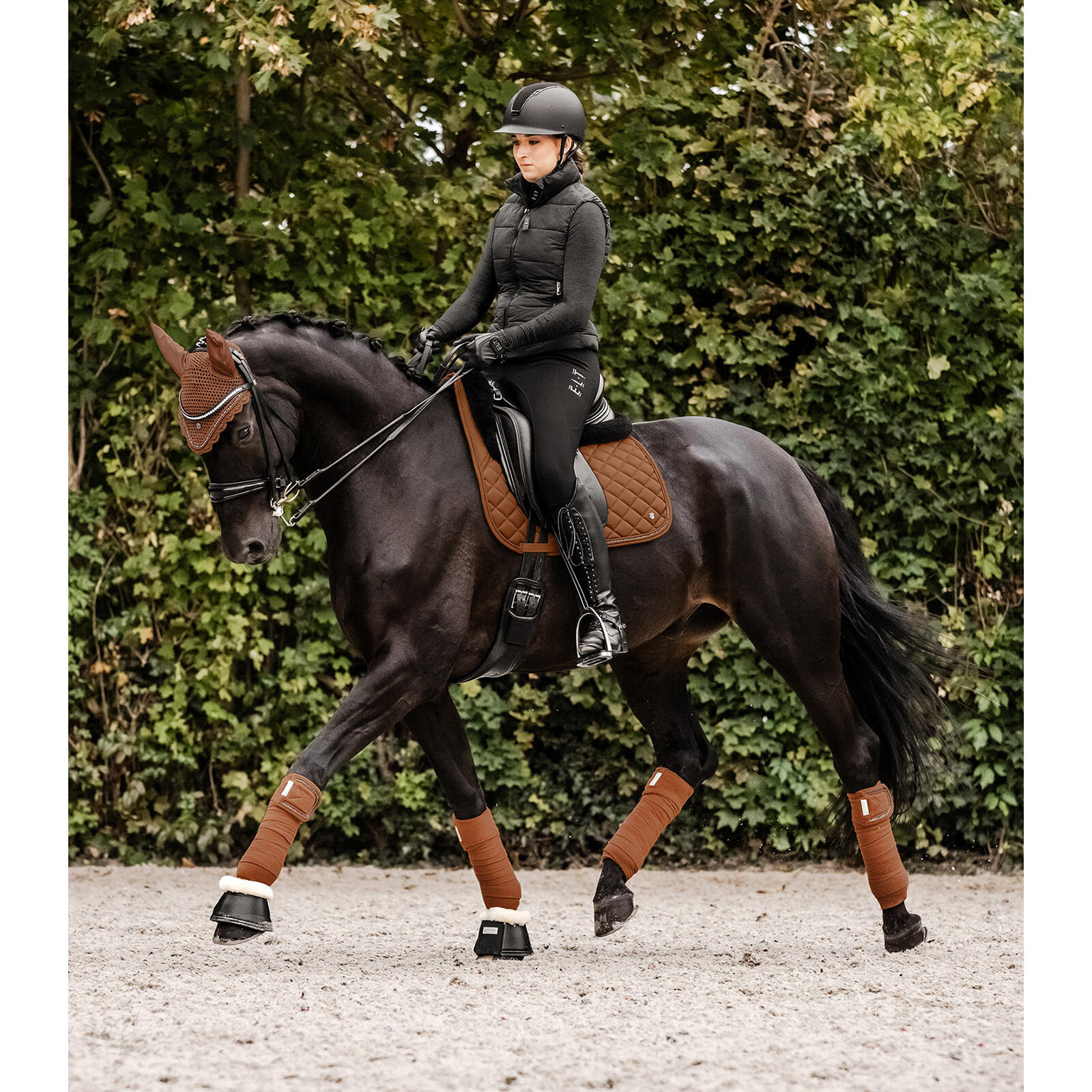 Bandes de polo pour cheval Waldhausen Nepal 3/3