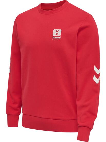 Enfiler Sweat-Shirt Hmllgc Graham E-Sport Adulte
