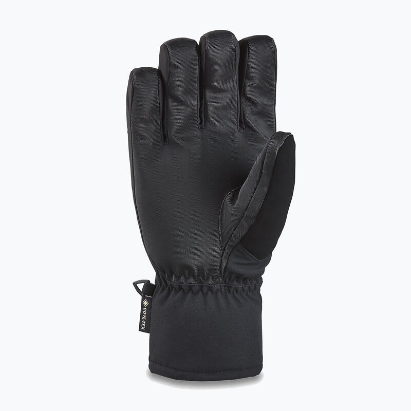 Mănuși de snowboard pentru bărbați Dakine Titan Gore-Tex Short Glove