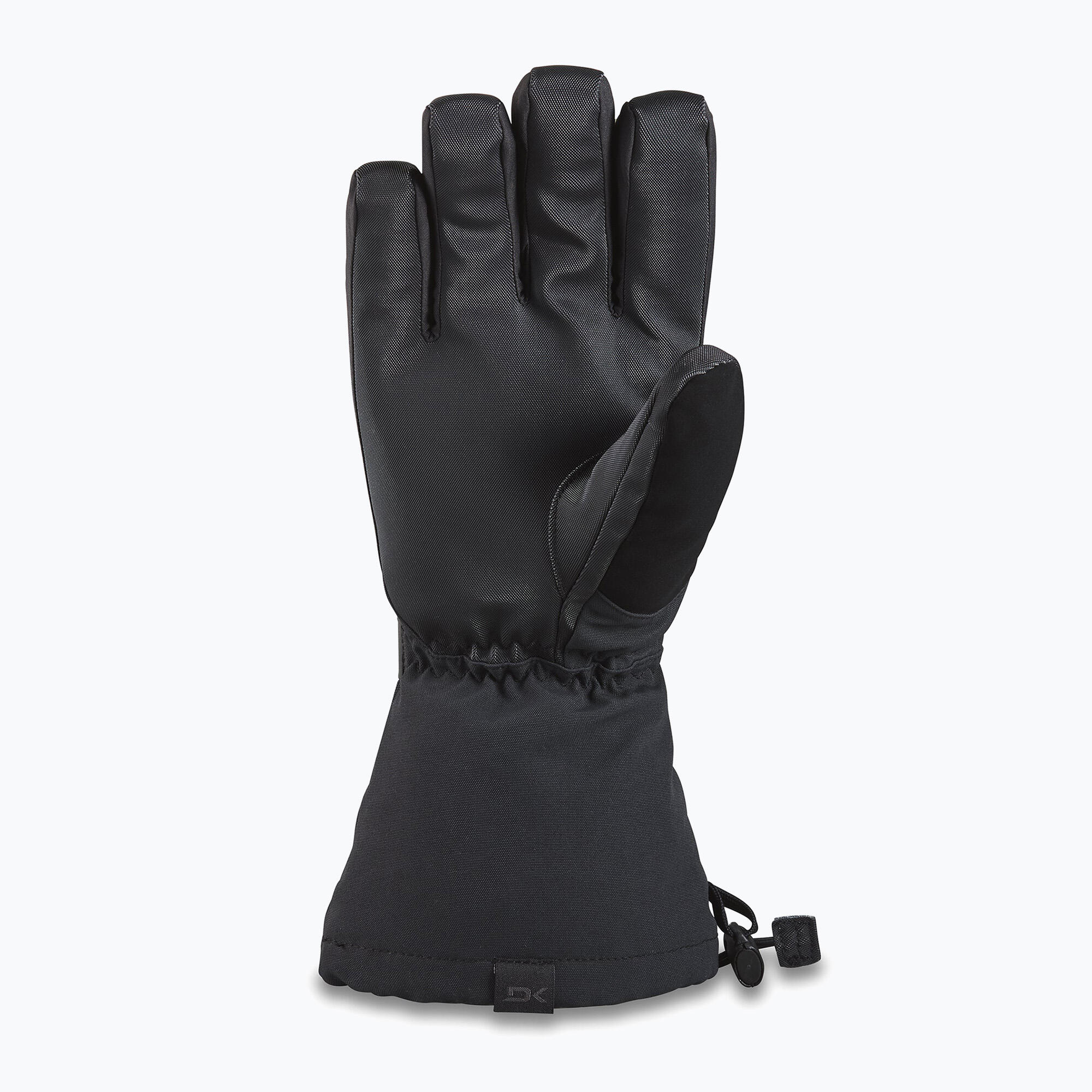 DAKINE Dakine Titan Gore-Tex heren snowboardhandschoenen