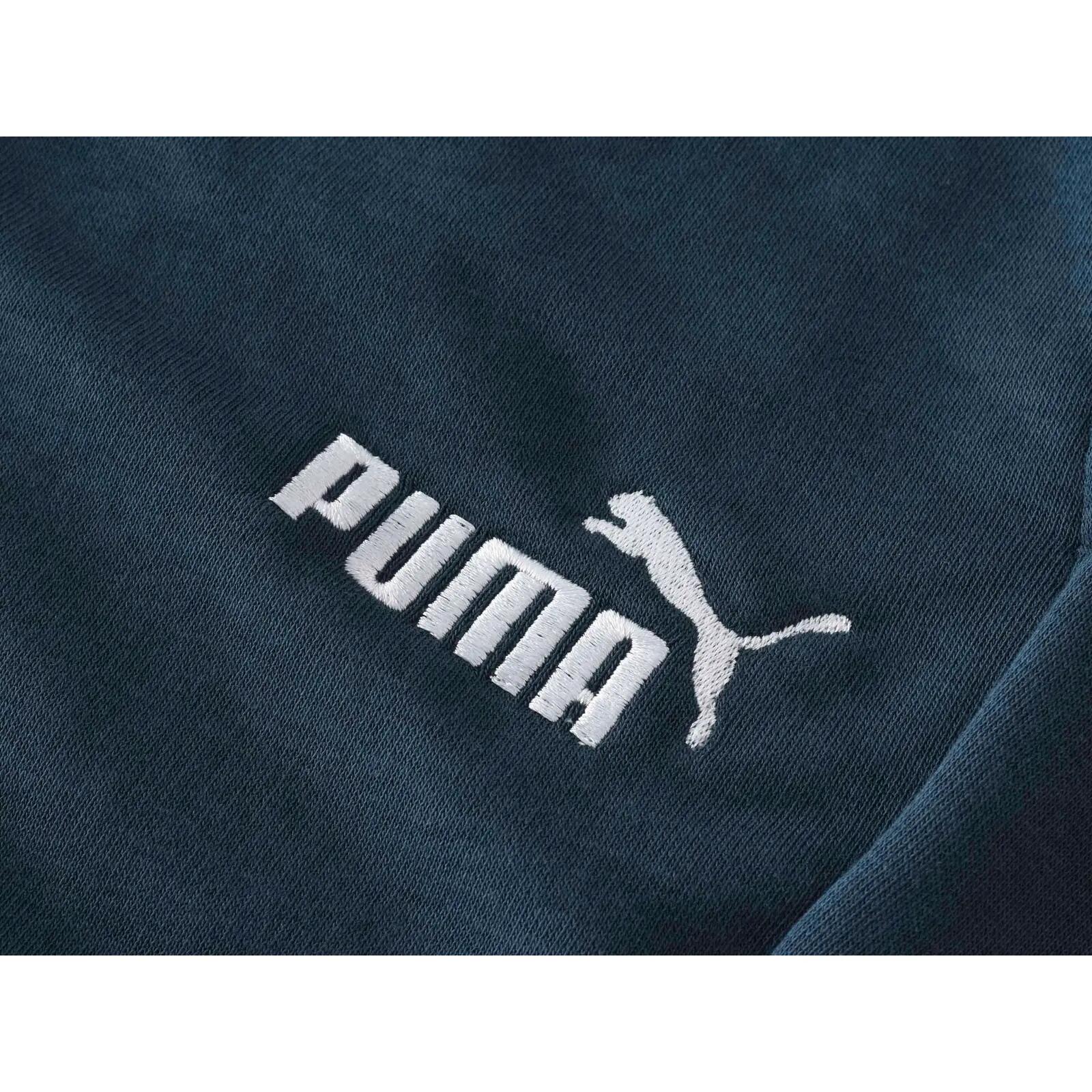 Spodnie Puma Ess 2 Col Logo Pants Tr Cl, Mężczyźni 4/5