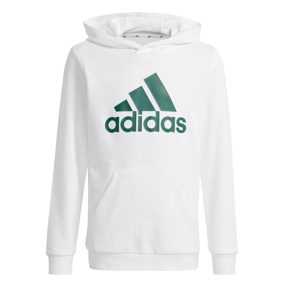 Big Logo Essentials Cotton Hoodie