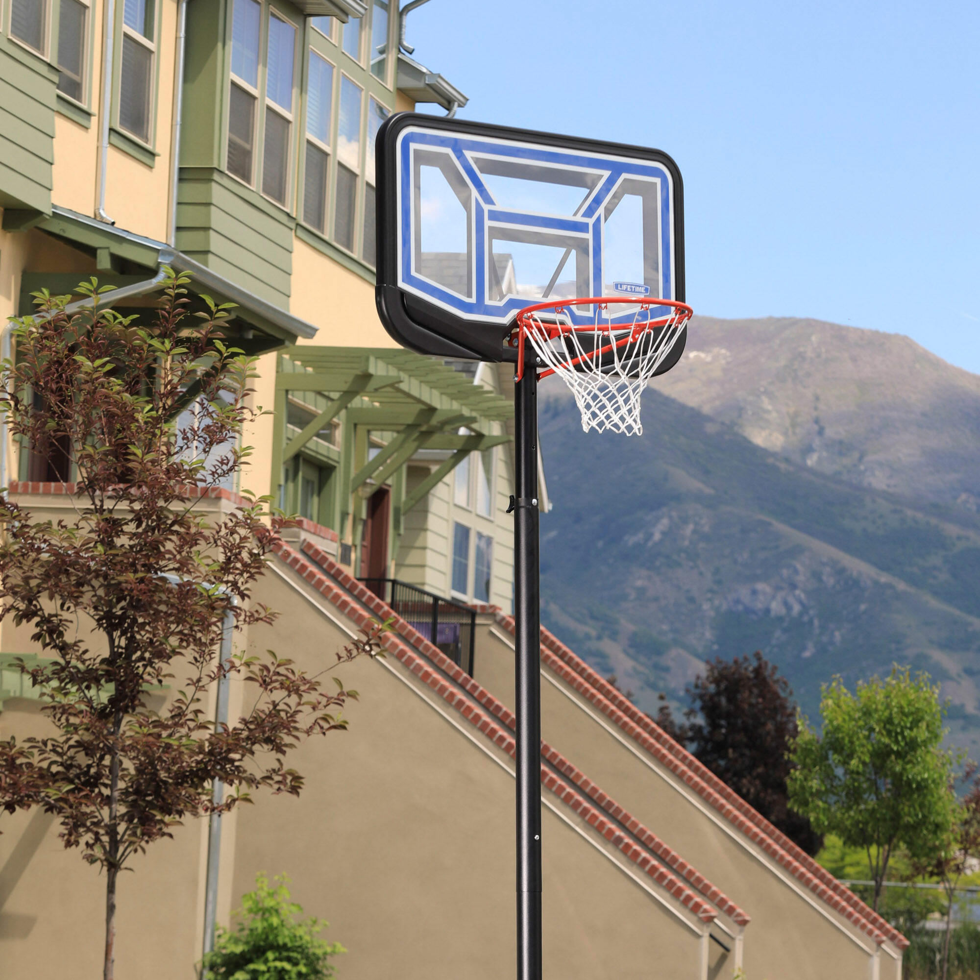 Canasta baloncesto ultrarresistente Lifetime altura regulable 230/305 cm UV100 5/6
