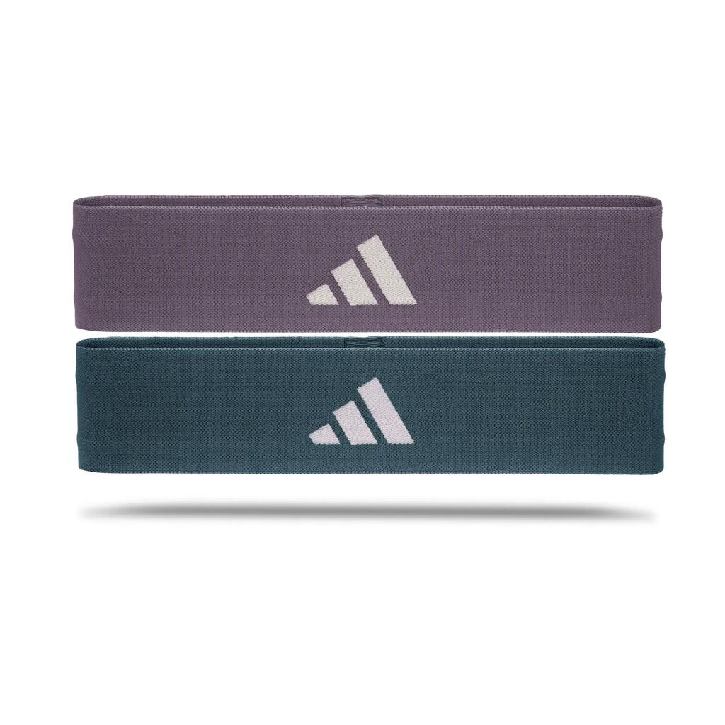 Resistance Bands Pair