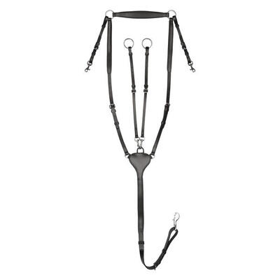 Jagdhalsband für Pferde Waldhausen X-Line