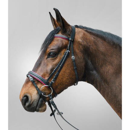 Bridon équitation muserolle combinée Star Diamond