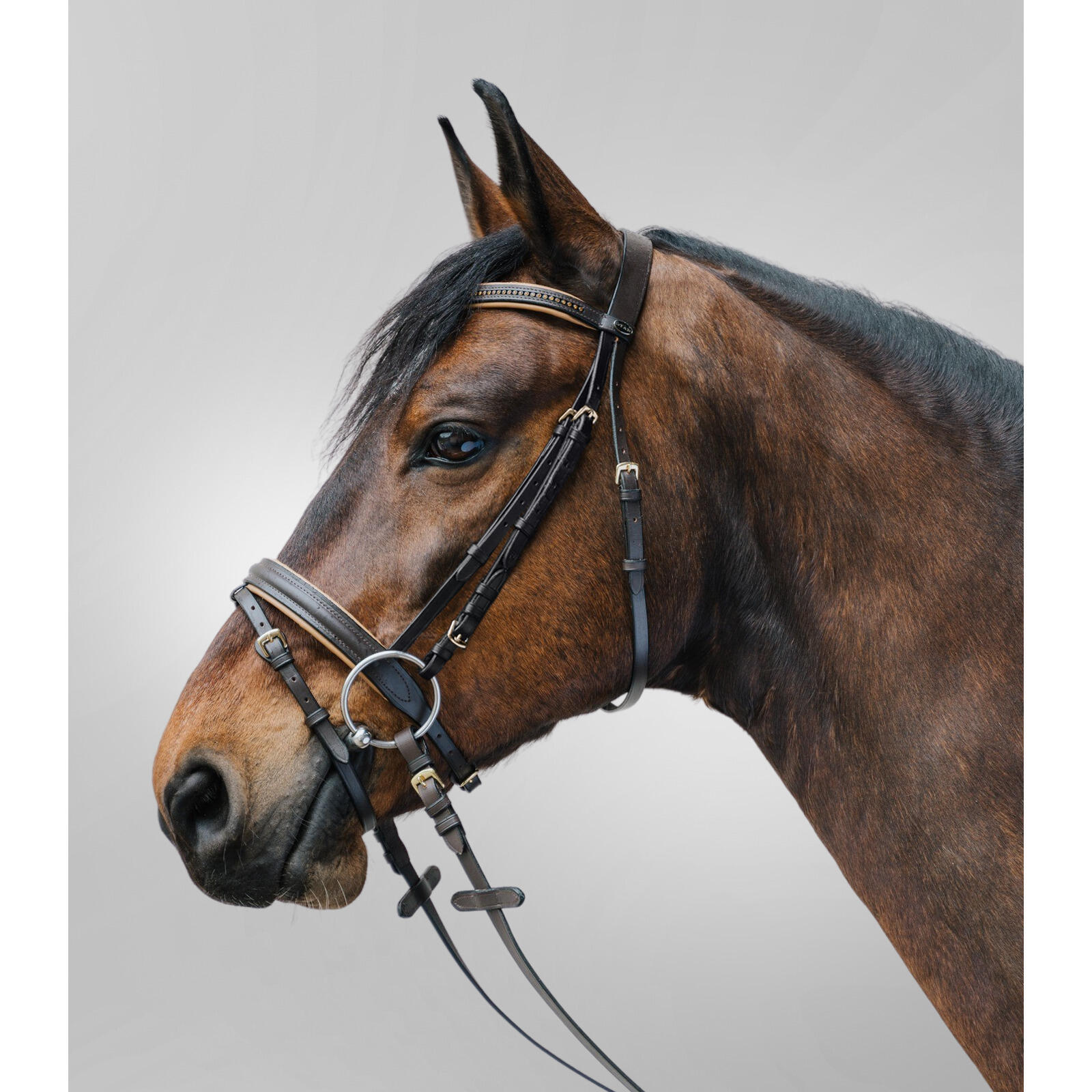 STAR Combiné hoofdstel met neusriem Star Diamond