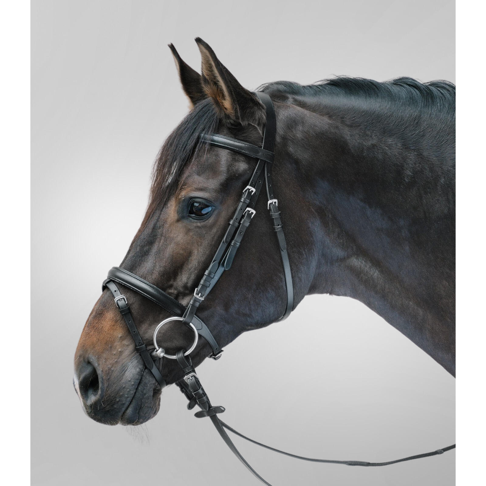 STAR Bridone da equitazione con museruola combinata Star Lifestyle