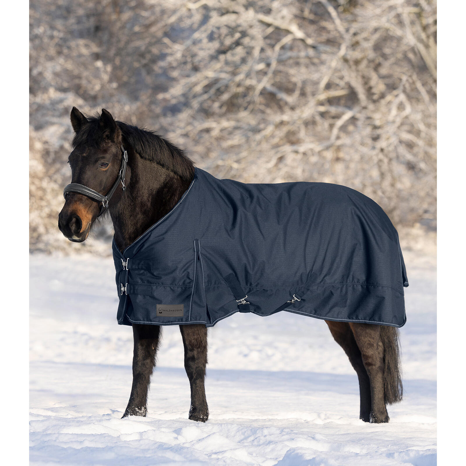 Polar para caballo Waldhausen Nordic 2/5
