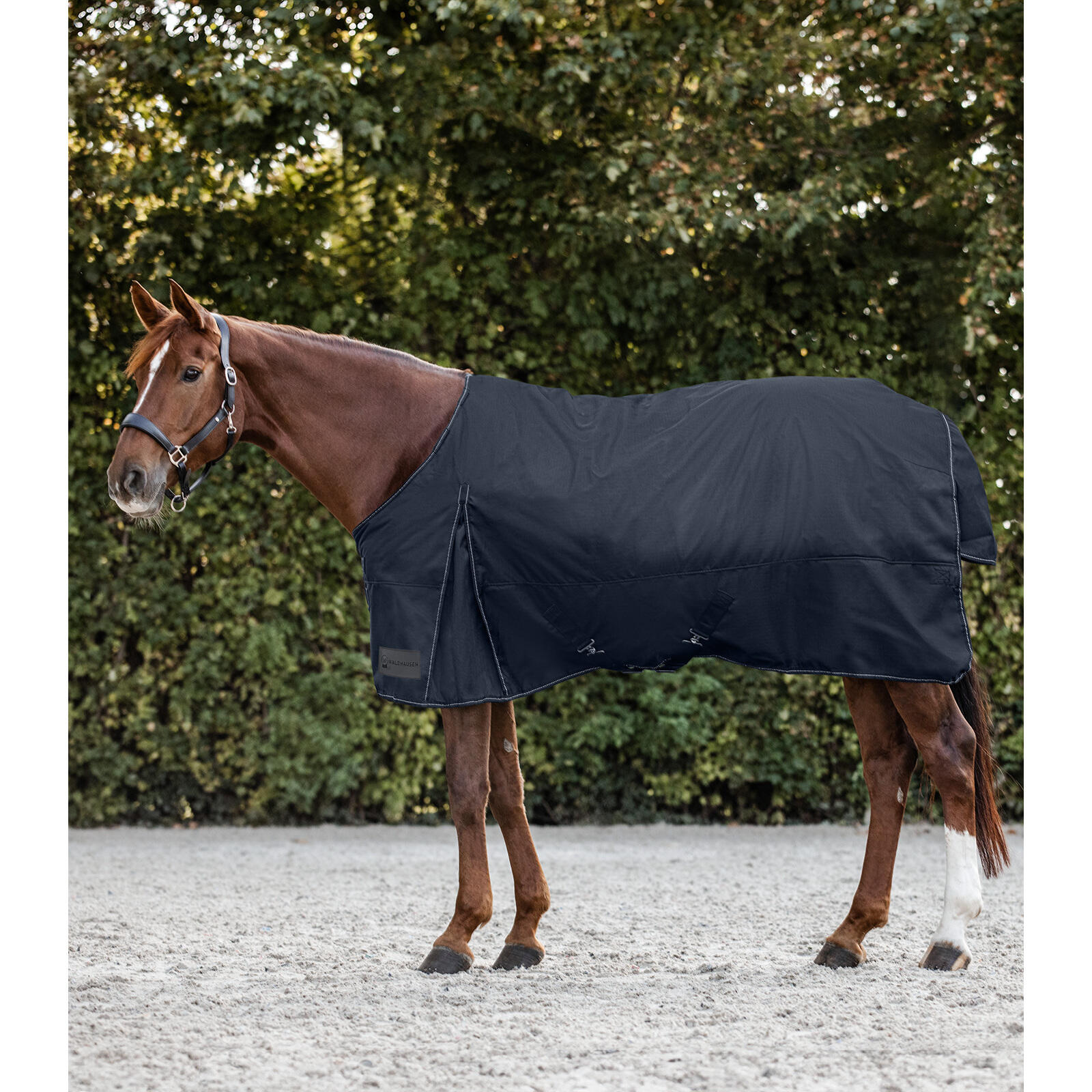 Waldhausen - Couverture D'Extérieur Pour Cheval Waldhausen Nordic 50g - Couverture Cheval - Bleu - 125 Cm - Decathlon