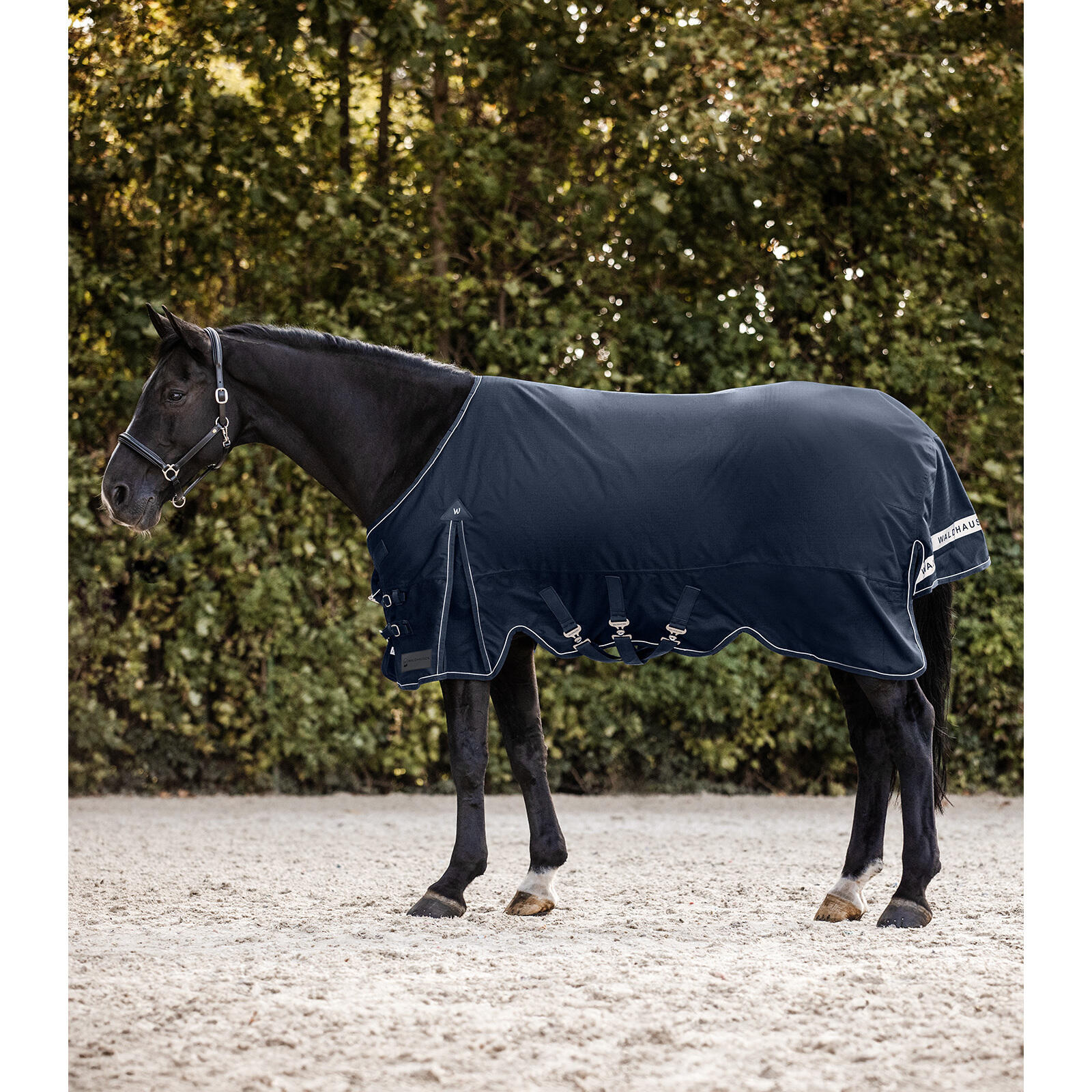 Waldhausen - Couverture D'Extérieur Pour Cheval Waldhausen Scandic Light - Couverture Cheval - Bleu - 145 Cm - Decathlon