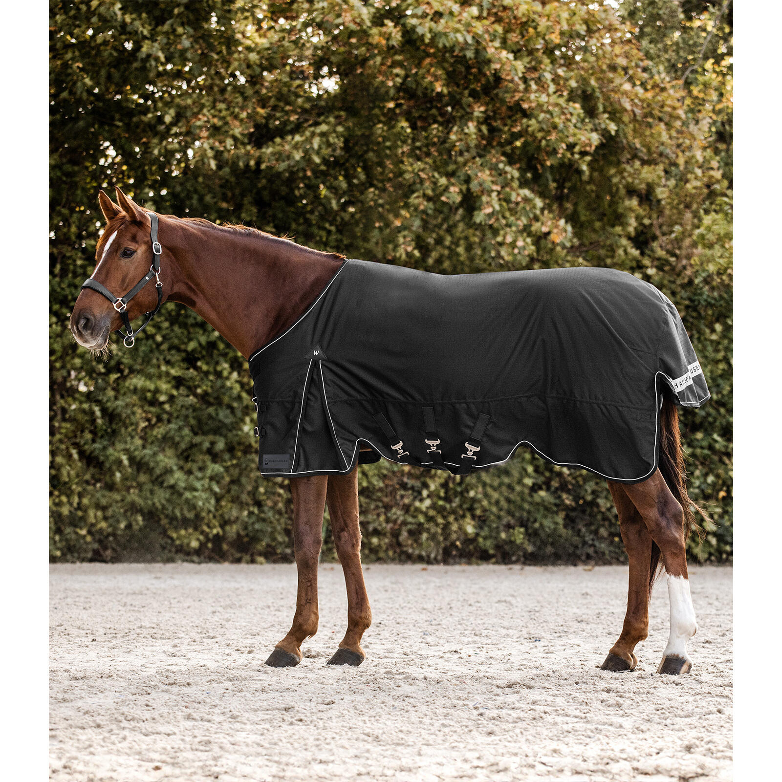 Waldhausen - Couverture D'Extérieur Pour Cheval Waldhausen Scandic Light - Couverture Cheval - Noir - 155 Cm - Decathlon