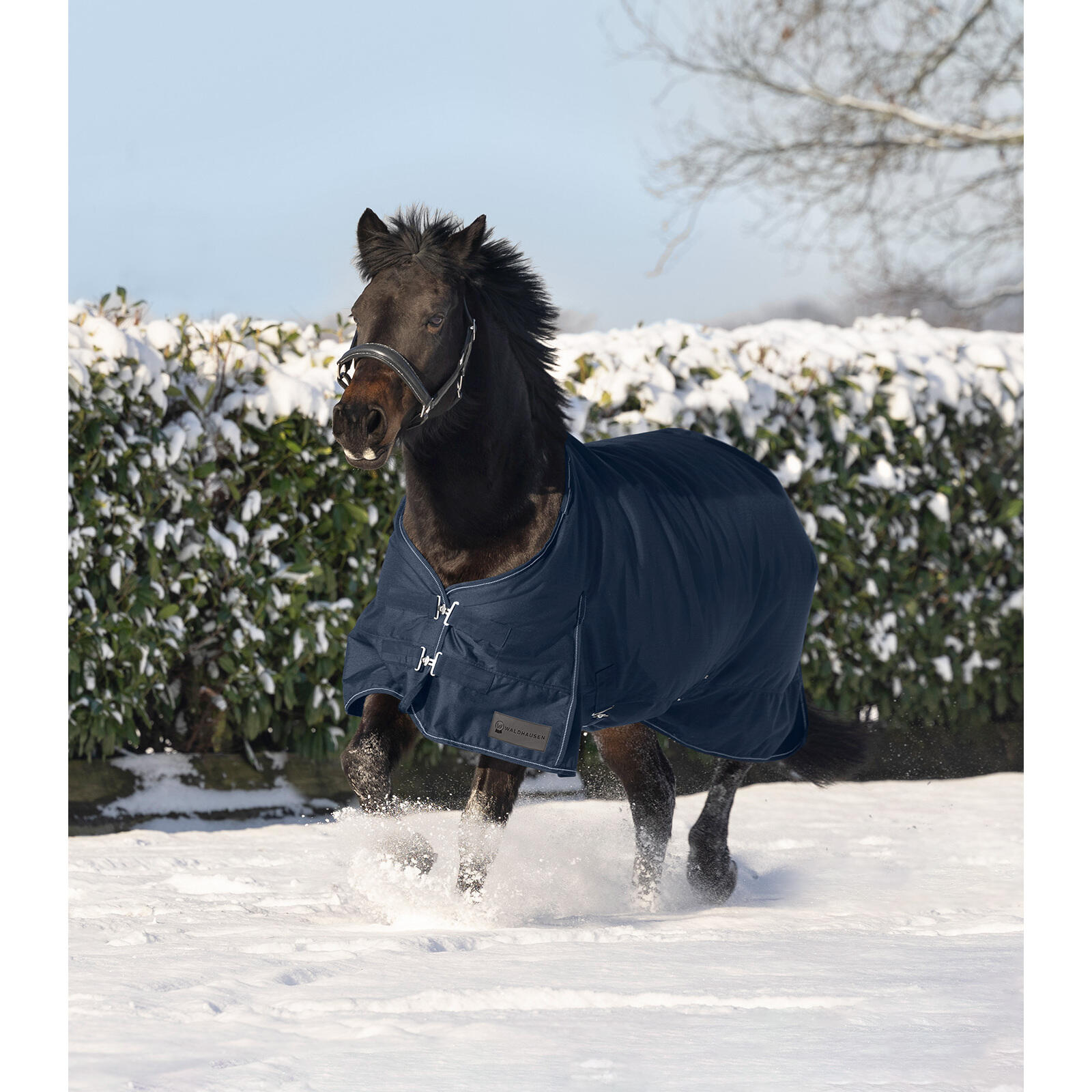 Polar para caballo Waldhausen Nordic 3/5